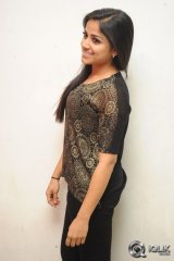 Rehana at Chakkiligintha Movie Audio Success Meet